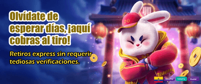 Los mejores slots de Ecuador